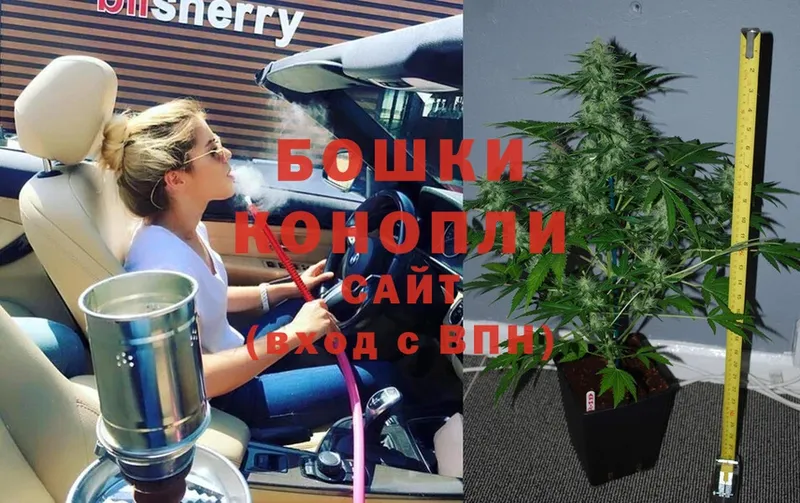 цена наркотик  Буйнакск  Канабис SATIVA & INDICA 